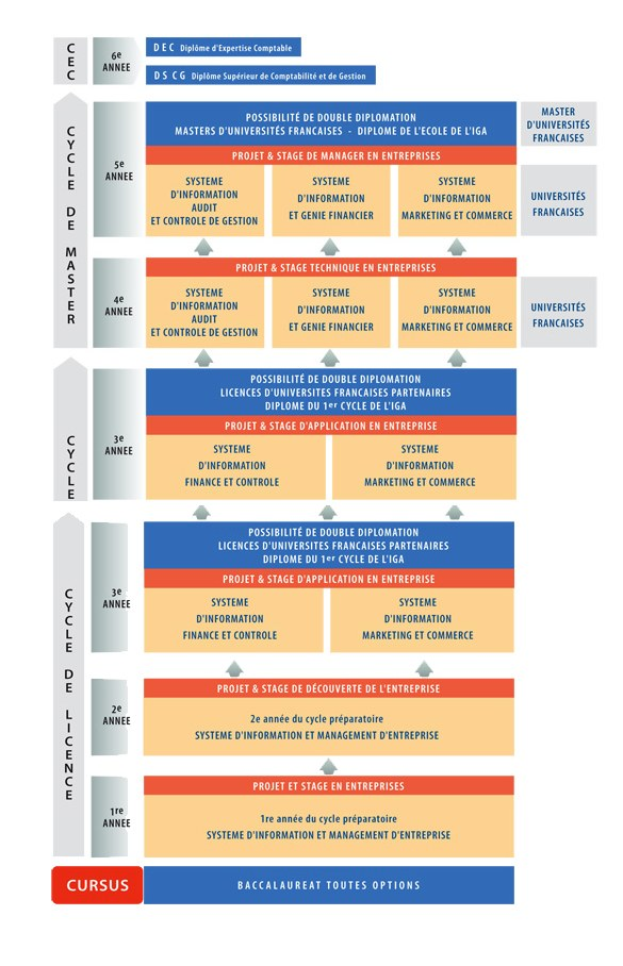 Diagramm, das die organisatorische Struktur eines Unternehmens mit interconnected boxes darstellt, die die Stufen des Geschäfts growth und der Entwicklung darstellen, begleitet von Text, der die Rollen und Verantwortlichkeiten beschreibt.