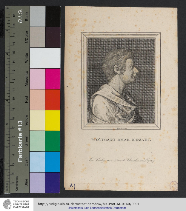 Porträt von Wolfgang Amadeus Mozart mit ernster, nachdenklicher Miene, dunklem kurzen Haar und direktem Blick; Maßstab links, Text unten.