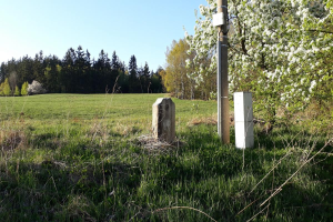 Eine grüne Wiese mit einem zentralen Baum, umgeben von Bäumen und einem klaren blauen Himmel, mit einem Pfahl und zwei Betonblöcken im Vordergrund, wahrscheinlich Teil eines Denkmals.