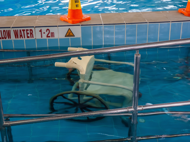 Seekühe, Freischwimmer und mehr: Holen Sie sich hier Ihr Abzeichen kostenlos