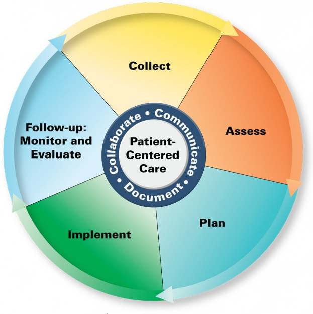 Ein Kreisdiagramm mit der Bezeichnung "patientenorientierte Pflege" und vier farbigen Abschnitten, jeweils mit einer spezifischen Pflegedarstellung.