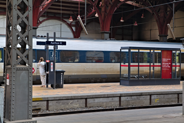 Ein Zug fährt auf einem Bahnsteig ein, neben dem eine Person steht, mit einem Müllcontainer, Pfosten, Informationsschildern und Deckenleuchten.