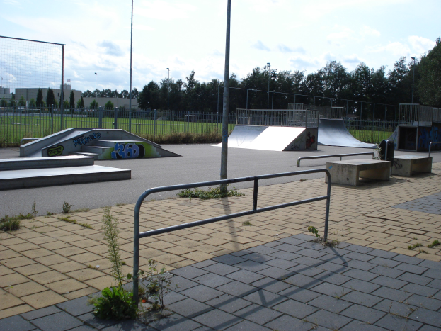 Eine Skate-Anlage mit Rampen, Geländern, Pflanzen, Gras, Pfählen, Bäumen, Gebäuden und einer bewölkten Himmel im Hintergrund.