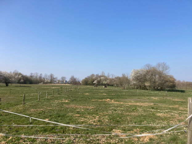 Grünes Feld mit einem zentralen Zaun, umgeben von Bäumen und unter einem klaren blauen Himmel, beschriftet als Parzellen 1 bis 48 und 50.