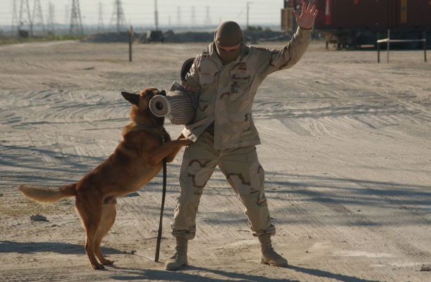 Ein Mann in Uniform spielt mit einem Hund an der Leine und hält ein Objekt, während im Hintergrund ein Zug zu sehen ist.