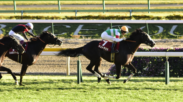 Zwei Jockeys auf Pferden bei einem Rennen auf einer Bahn, die Helme tragen und von Grün umgeben sind, mit einem Geländer und einer Tafel im Hintergrund.