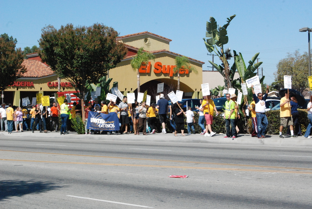 Eine Gruppe von Menschen mit Schildern, die durch den Wald gehen, mit Bäumen, Büschen, einem Banner, einem Gebäude mit Namensschildern, Autos und aktuellen Umfragen im Hintergrund.