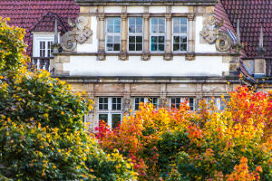 Ein Gebäude mit Wänden, Fenstern, Verzierungen, einem Dach und einem Geländer steht im Hintergrund, mit ein paar Bäumen mit Blättern, Stämmen und Zweigen unten im Bild.