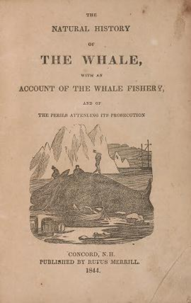 Titelblatt von 'The Natural History of the Whale, with an Account of the Whale Fishery, and of the People Attending Its Prosecution' mit einer detaillierten Illustration eines Wals, eines Fischers und betrübter Menschen mit großer schwarzer überschrift oben.