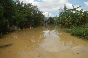 Eine überflutete Landstraße mit Wasser, das die Straße bedeckt, umgeben von Pflanzen und Bäumen, ein geparktes Auto auf der rechten Seite und Häuser, Pfosten und Drähte im Hintergrund unter einem bewölkten Himmel.